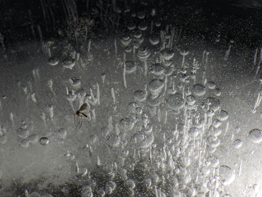 Photograph by Alexandr Gorelenkov