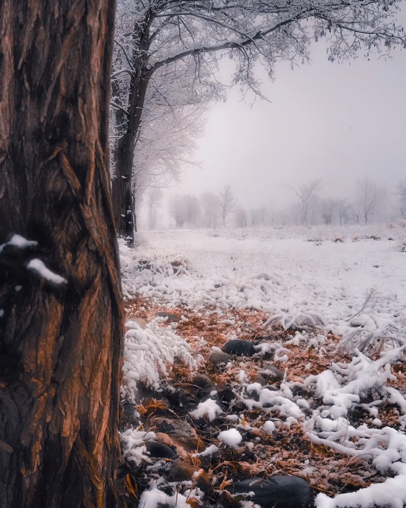 Whispers of winter