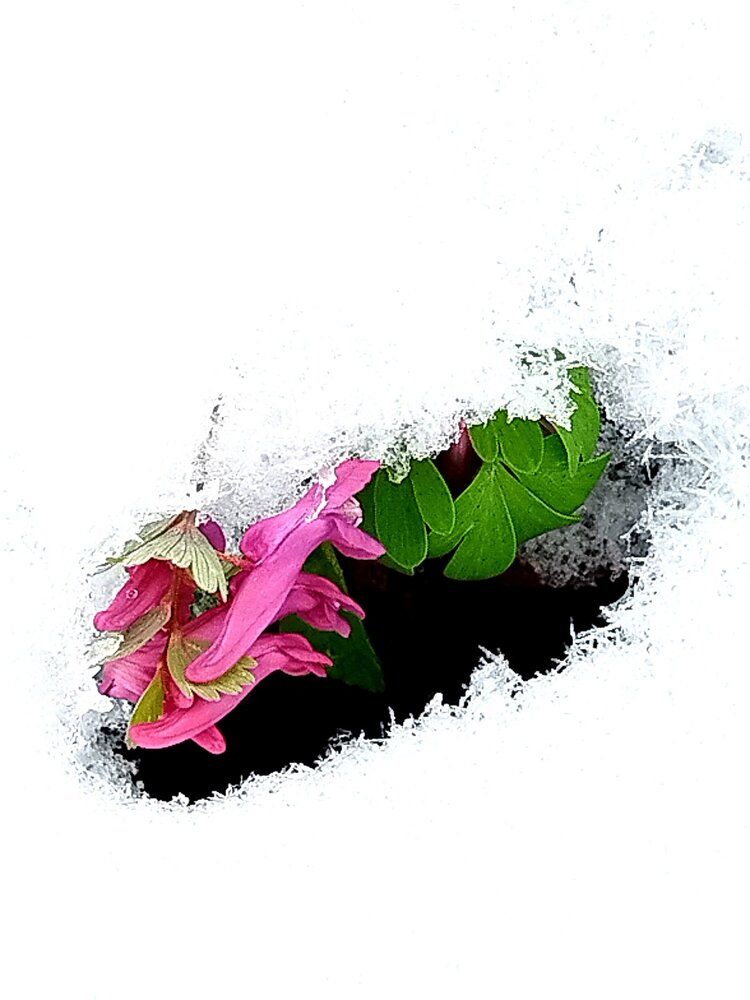 Photograph by Татьяна Солтан