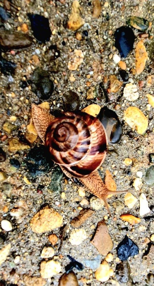 Photograph by Ольга Булавкина