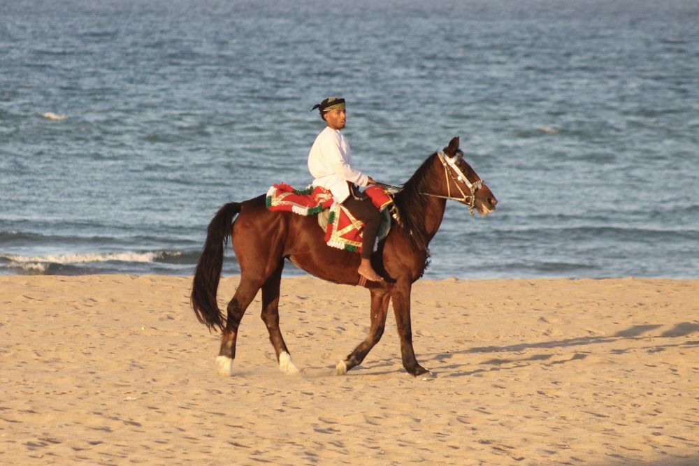 Photograph by Waleed Yousuf Alwahaibi