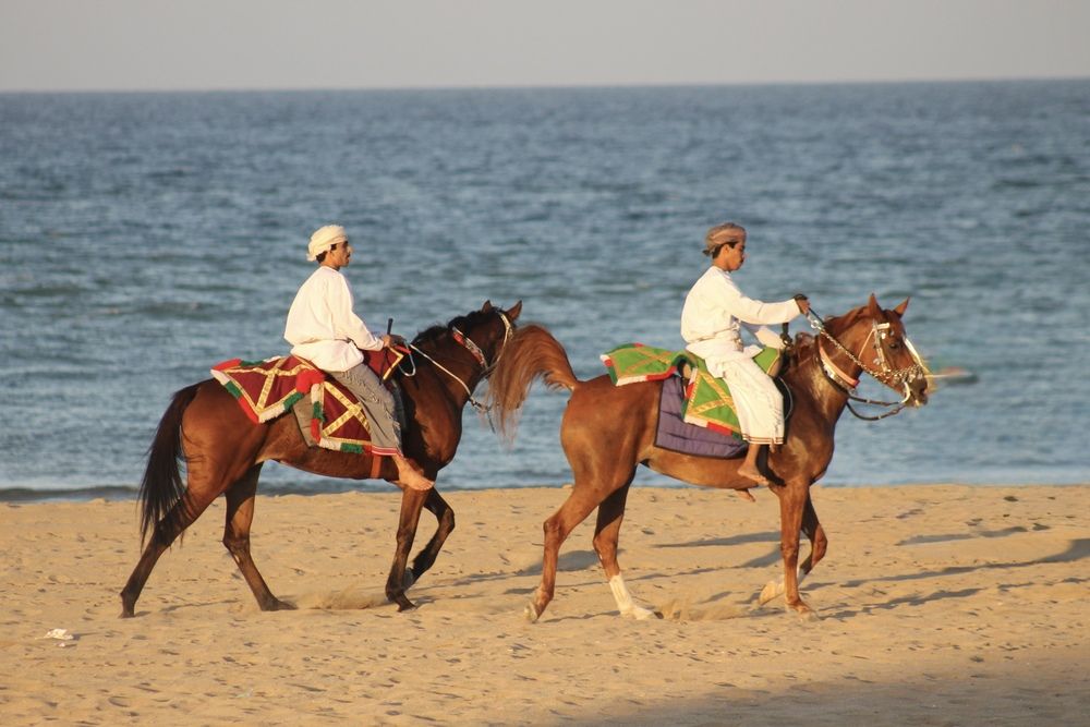 Photograph by Waleed Yousuf Alwahaibi