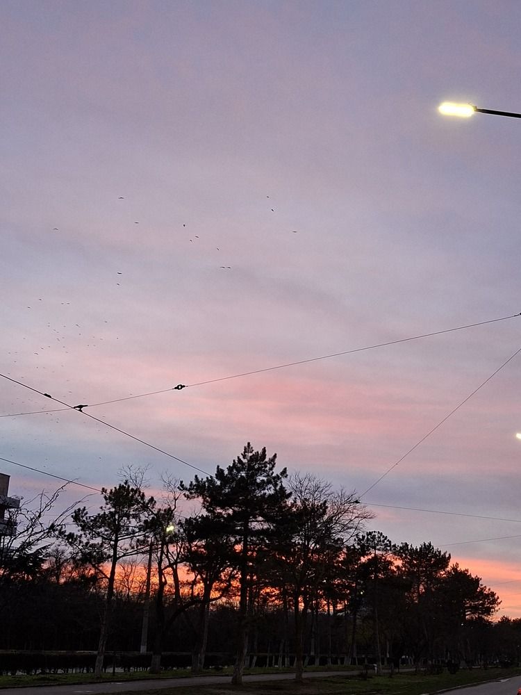 Photograph by Анатолий Дячина
