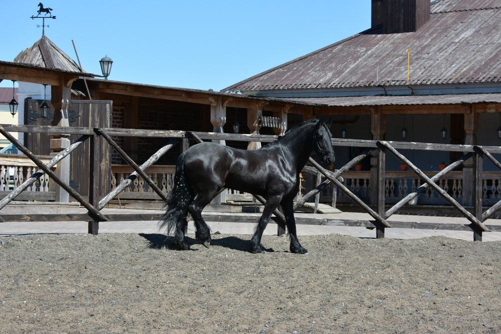 Фотография автора Юрий Рудый