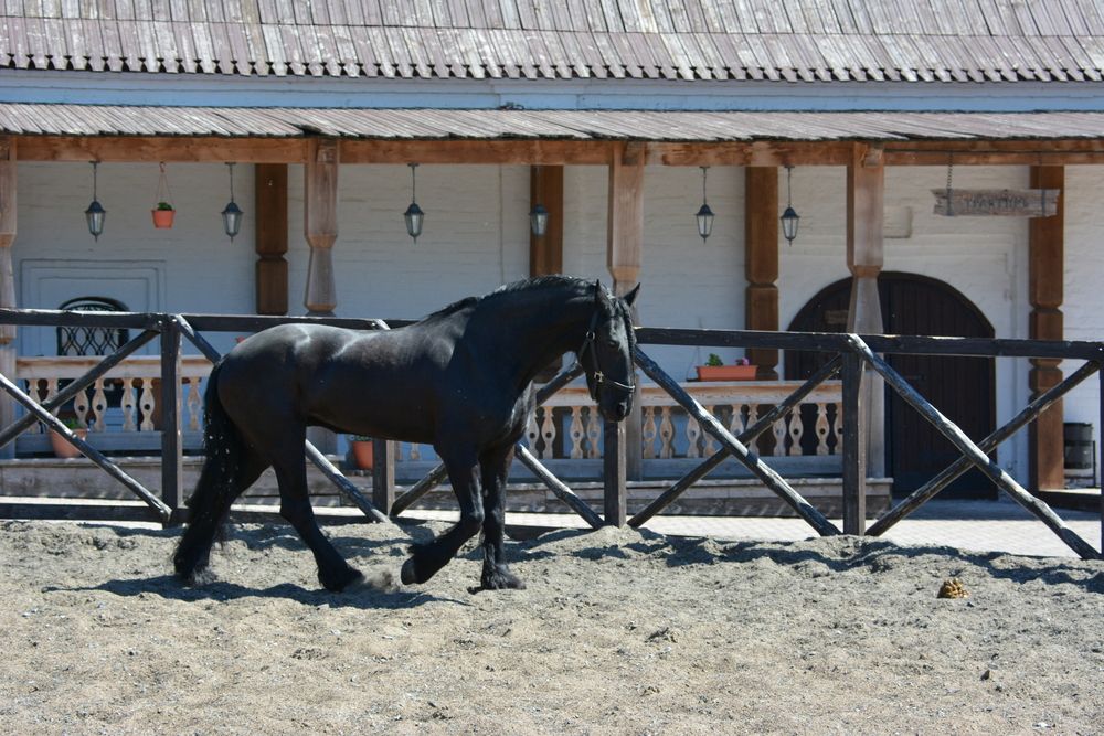 Фотография автора Юрий Рудый