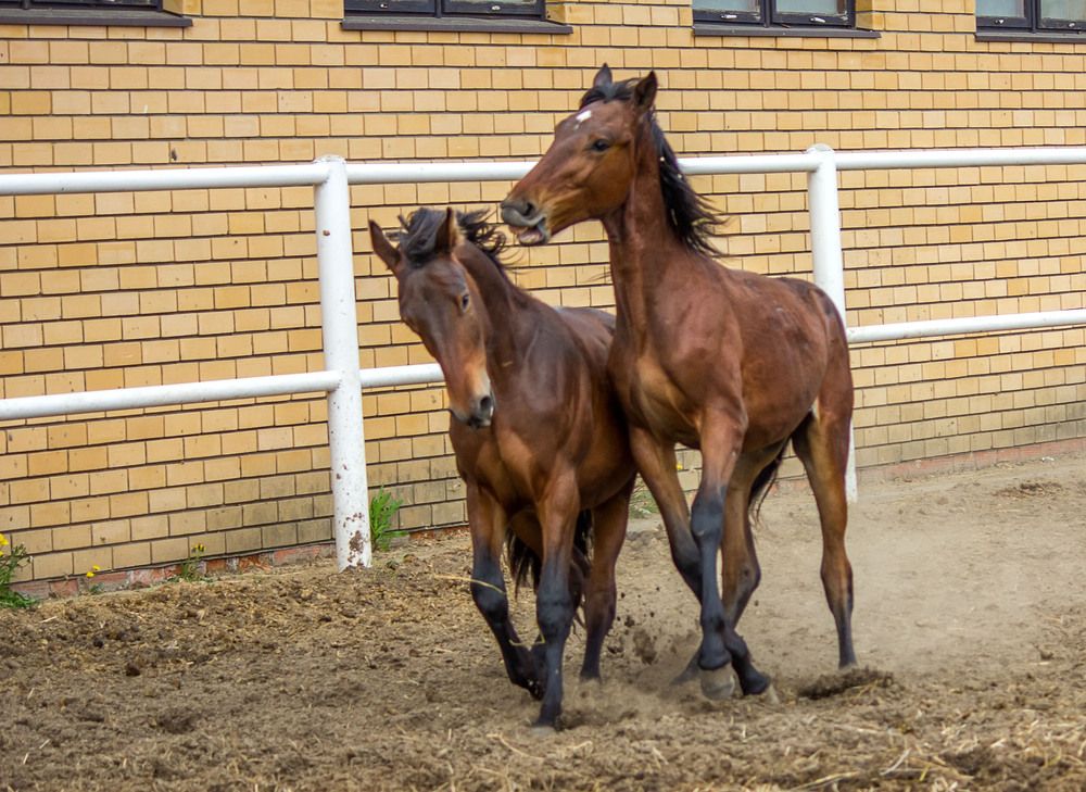 Photograph by Елена