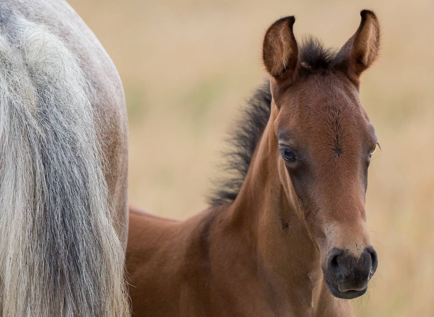 Фотография #12999849