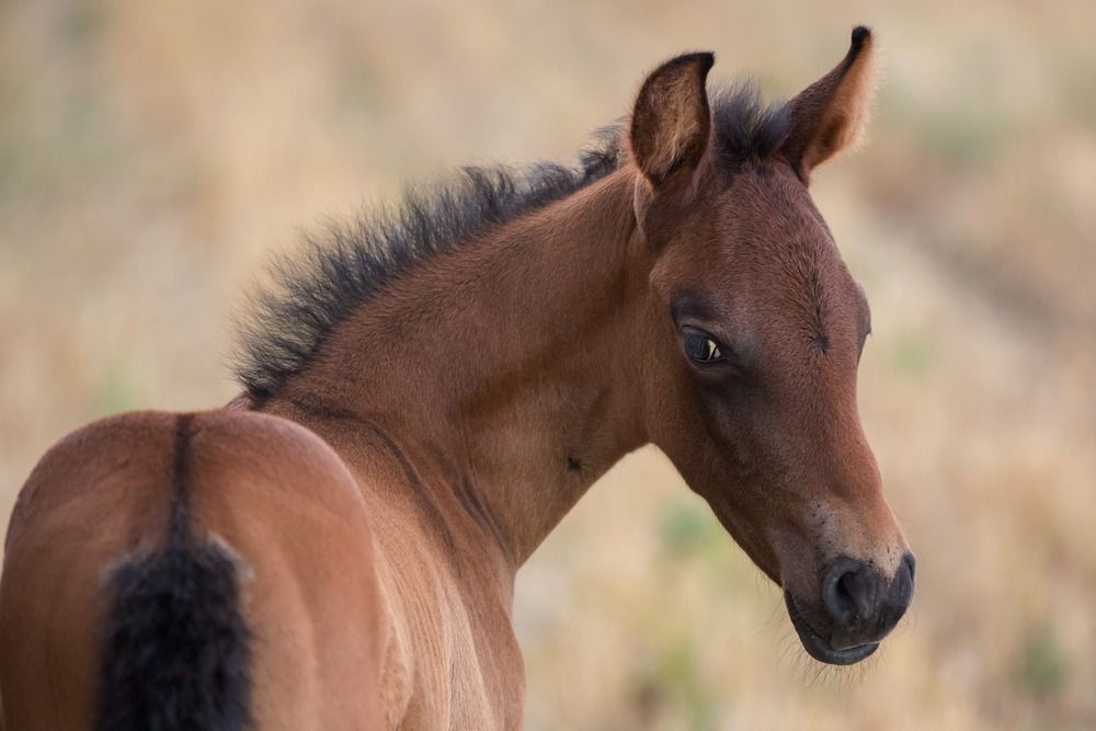 Photograph by Oleg Patrin