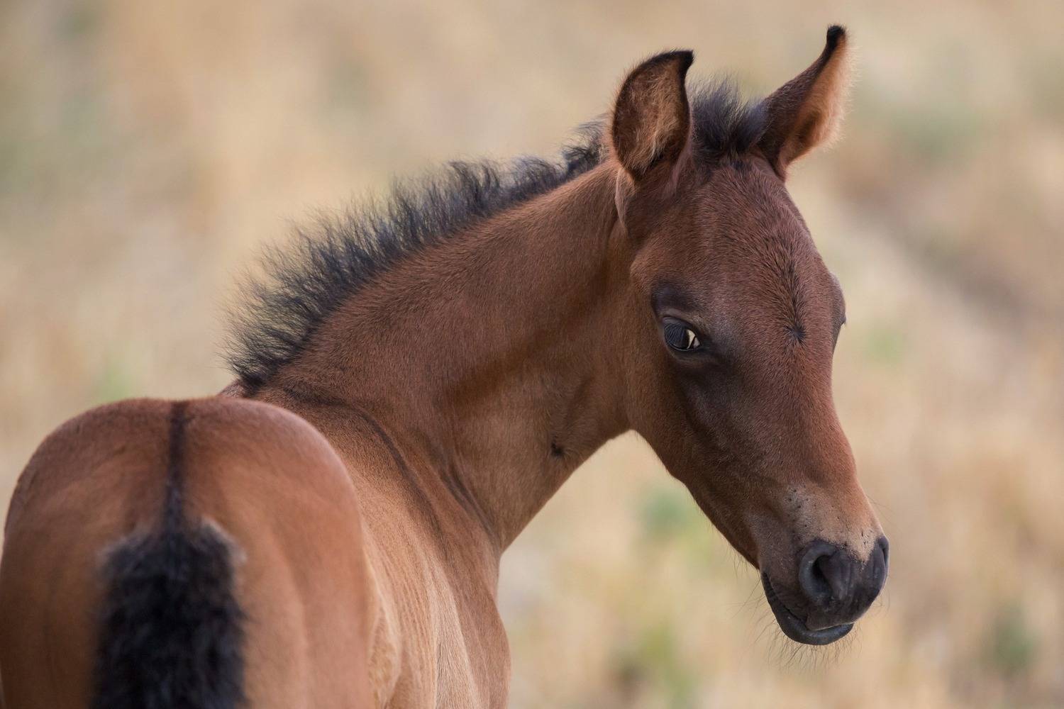 Фотография #12999851