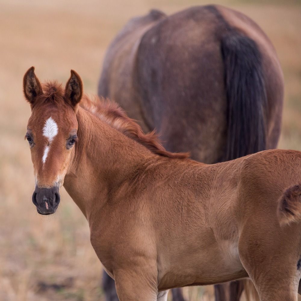 Photograph by Oleg Patrin