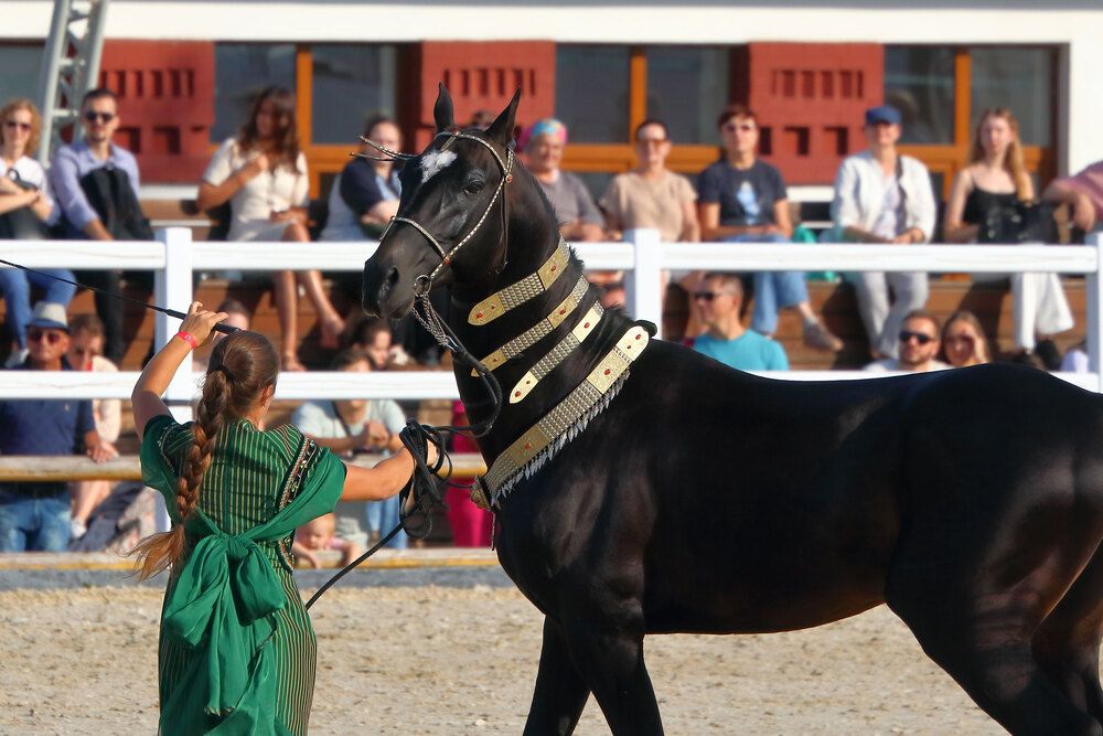 Photograph by Светлана Долотова