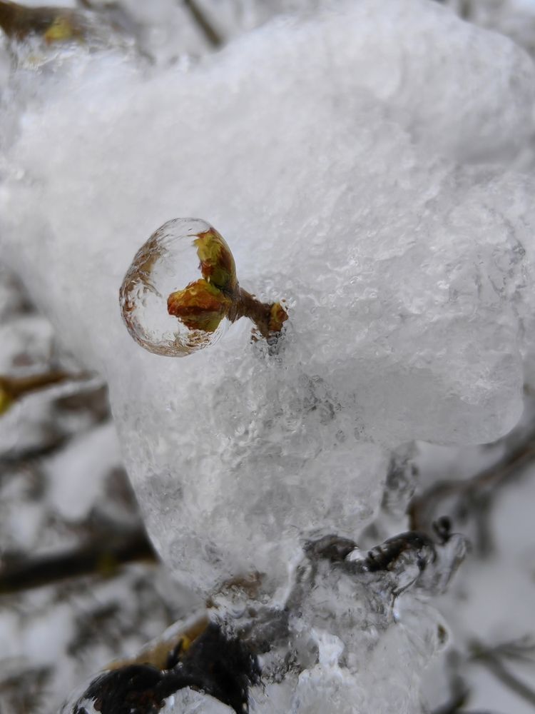 Photograph by Ульяна Кузьмина