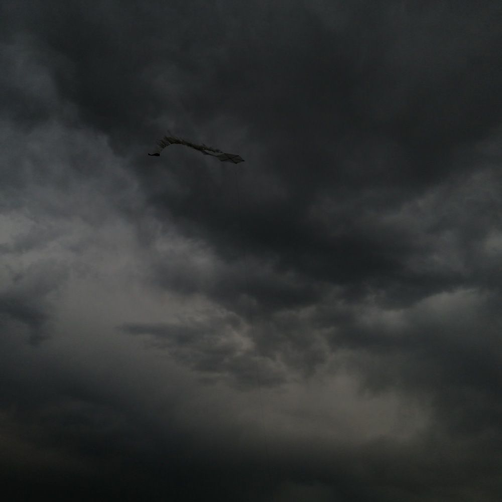 Photograph by Rehab Mohamed Ibrahim