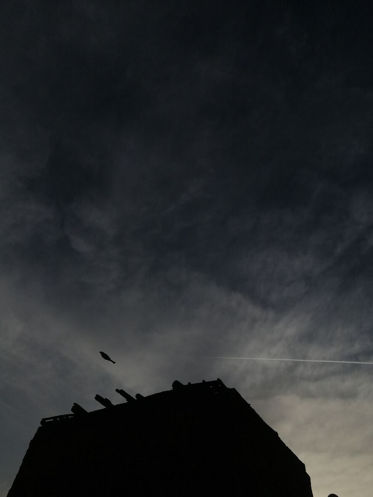 Photograph by Rehab Mohamed Ibrahim