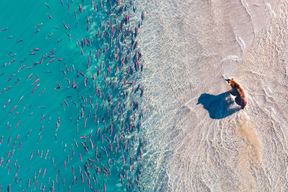 Photograph by Будьков Денис