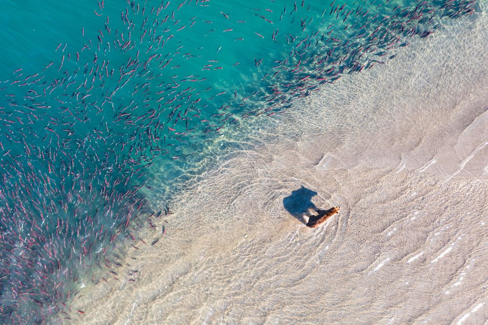 Photograph by Будьков Денис
