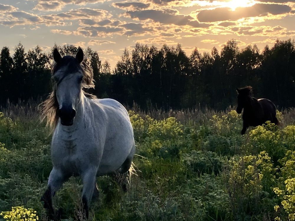 Photograph by Мария Карпычева