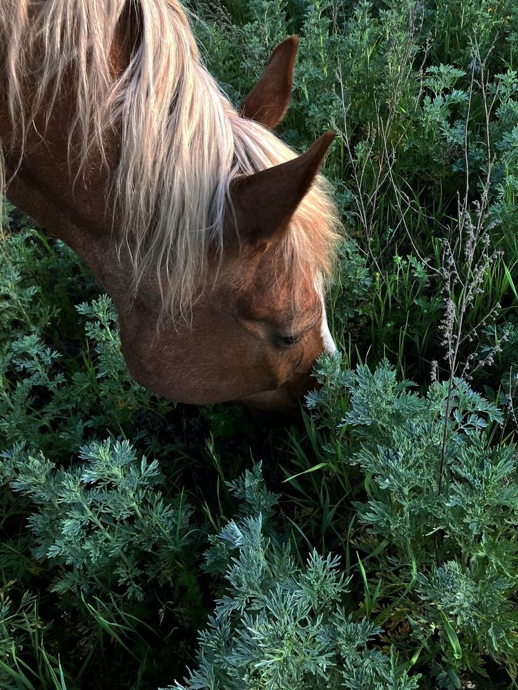 Photograph by Мария Карпычева