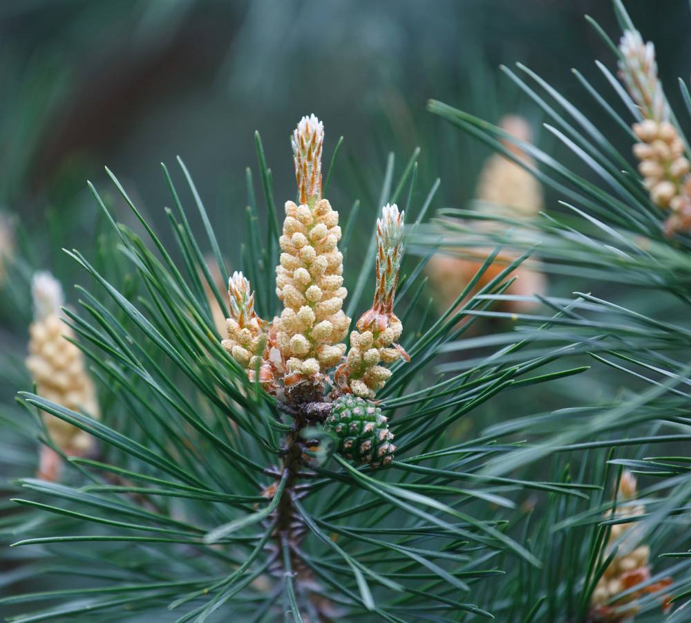 Photograph by Александр Ильин