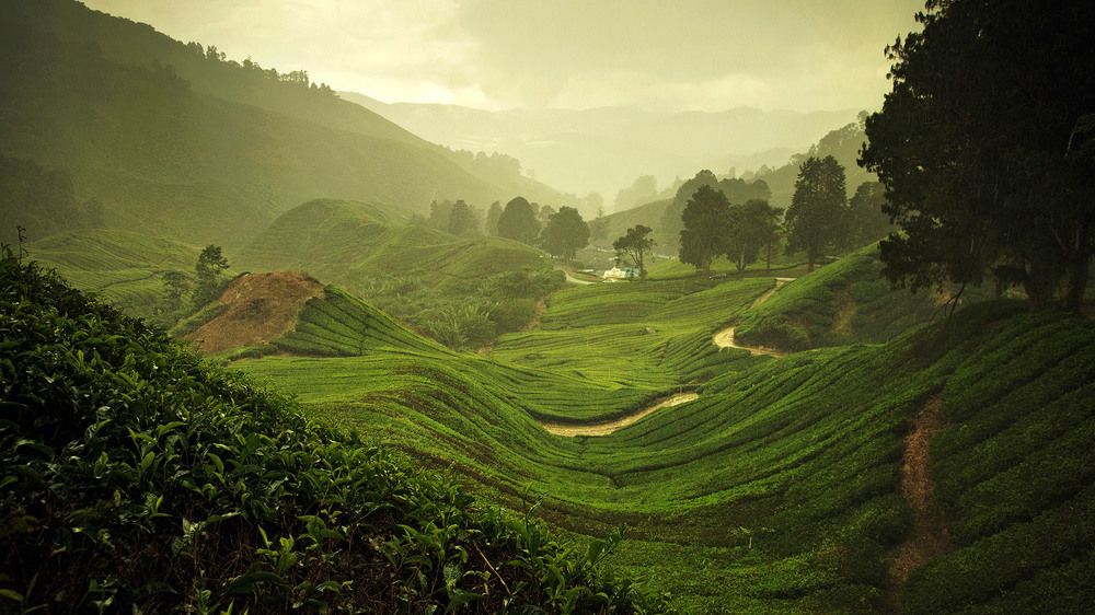 Photograph by Валерий Кочергин