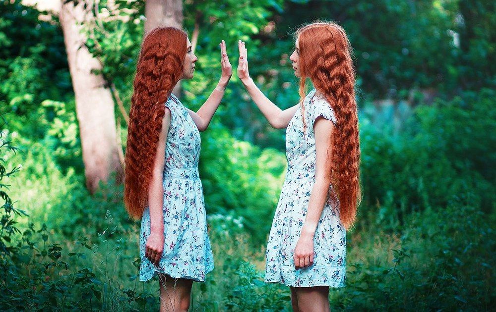 Тринадцатая сказка