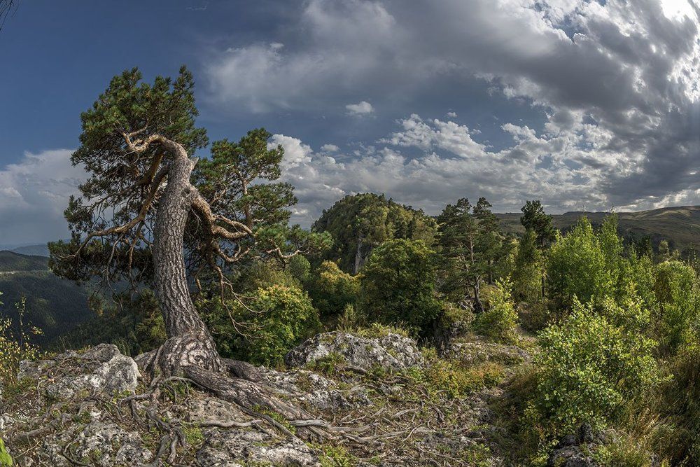 Плато Лагонаки