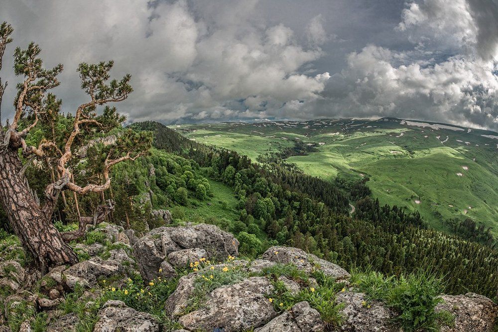 Кавказский биосферный заповедник
