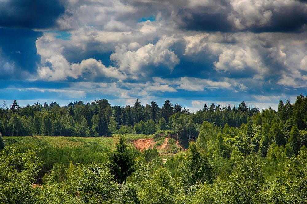 Грибоедовские просторы