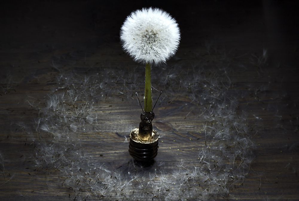 В круге света...