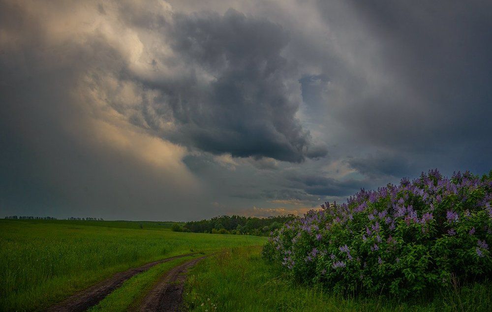 Набежала тучка...