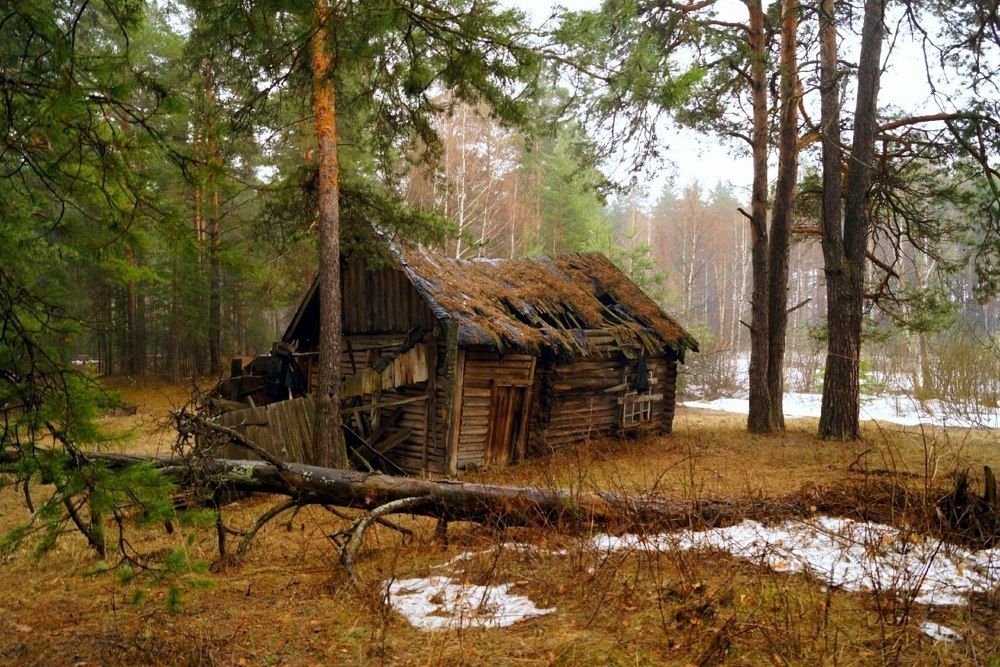 Photograph by Козлов Денис