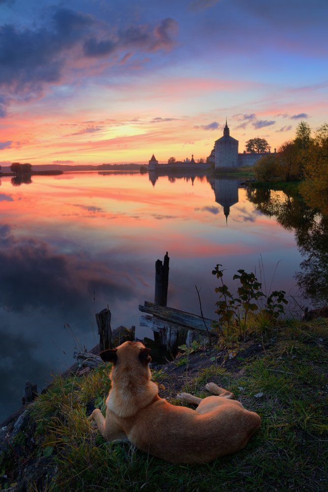 Созерцая закат