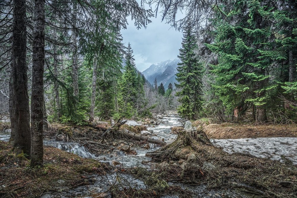 Тебердинский заповедник