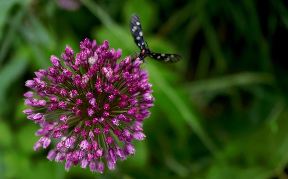 Photograph by Мелащенко Катя
