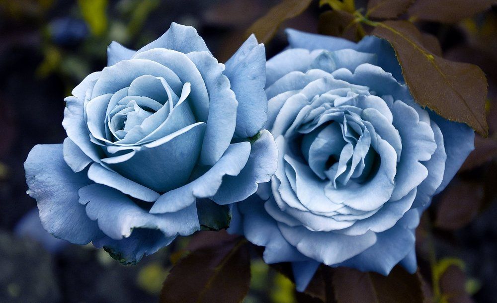 Photograph by Мелащенко Катя