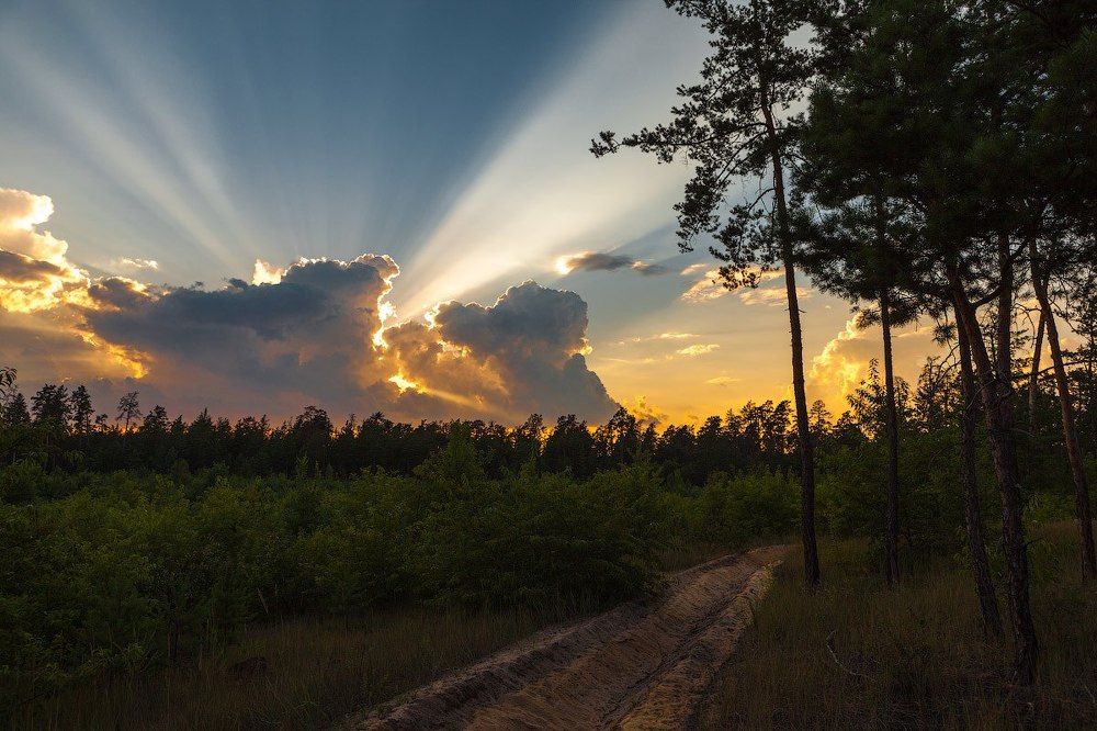 Photograph by Козлов Денис