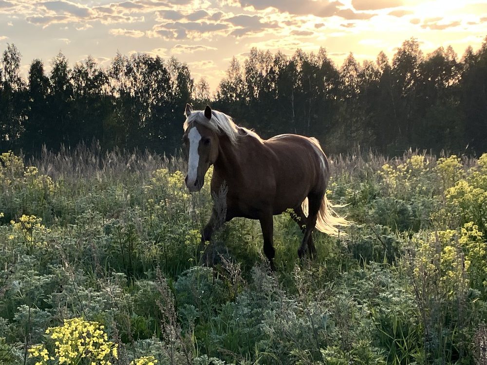 Photograph by Мария Карпычева