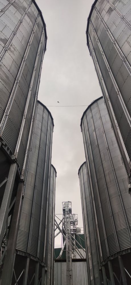 Фотография автора Максим Светличный