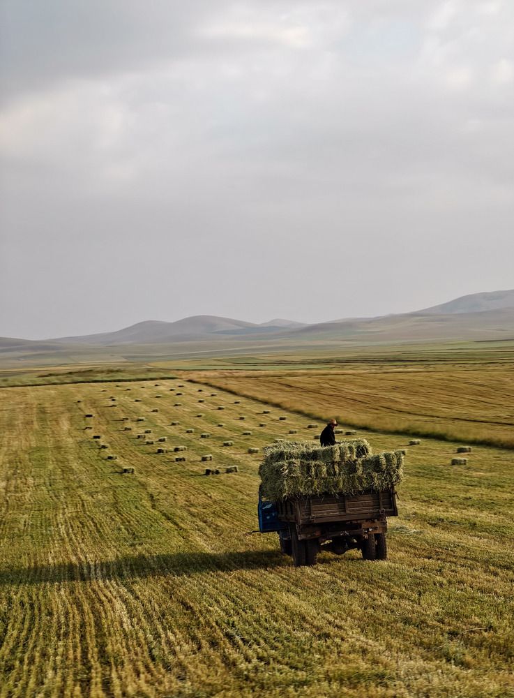 Photograph by Artashes Balabekyan