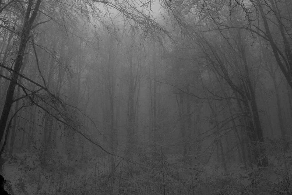 Photograph by Plesa Ioan Dan