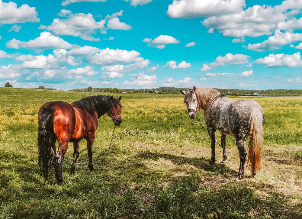 Photograph by Екатерина Никитина