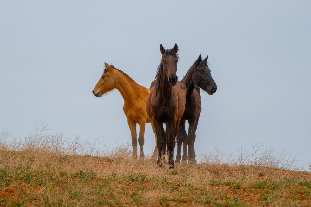 Photograph by Игорь