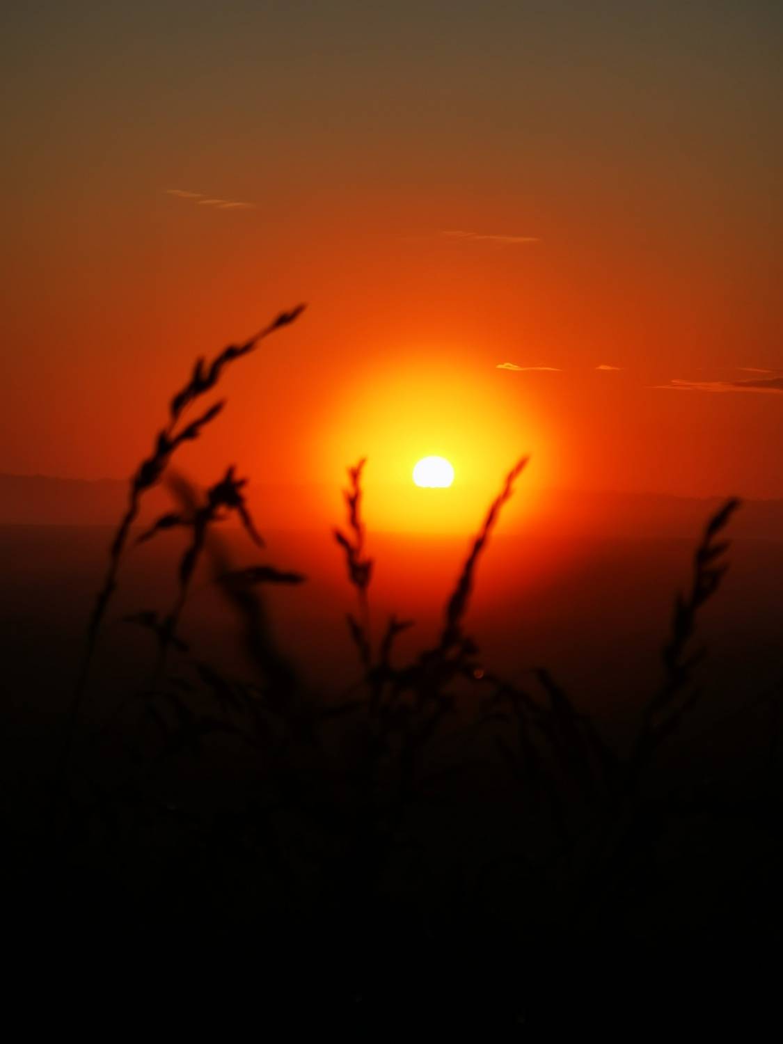 Photo #13000195