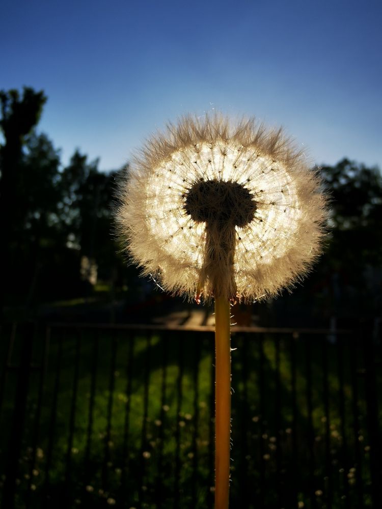 Photograph by Сергей Метлов