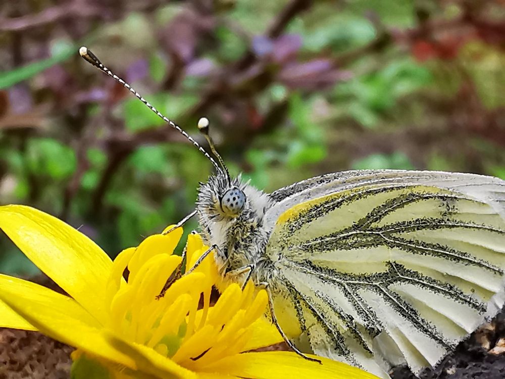 Photograph by Сергей Метлов