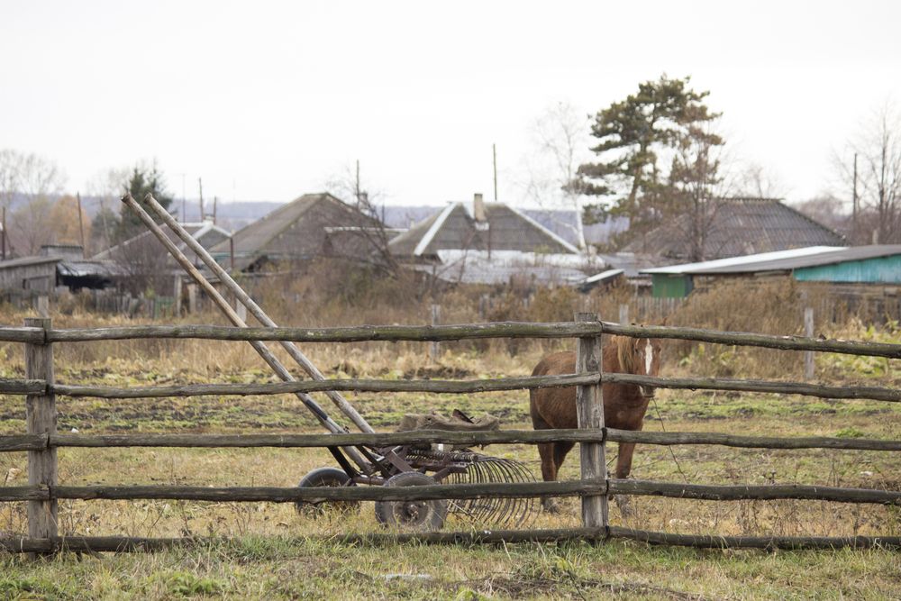 Фотография автора Angelina Pirtina