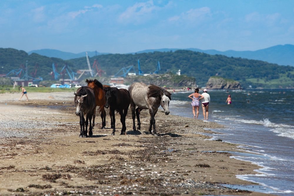 Photograph by Сергей Лягушин