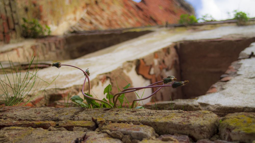 Фотография автора Роман Чернышов