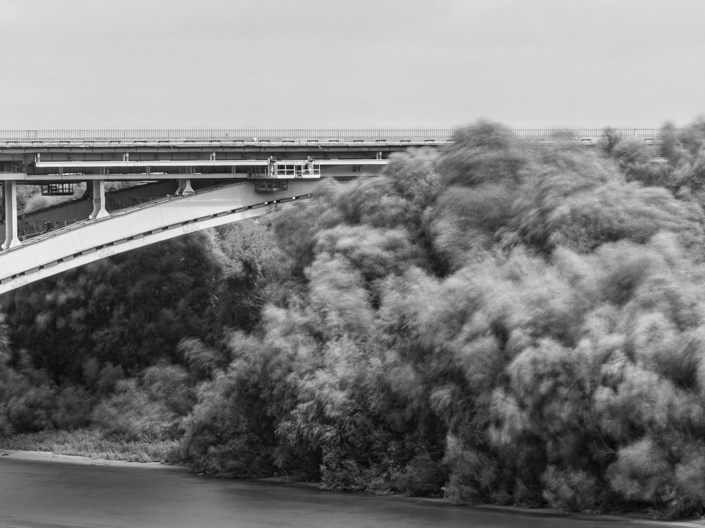 Photograph by Anna Amarova