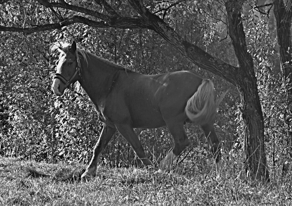 Photograph by Александр Прядко